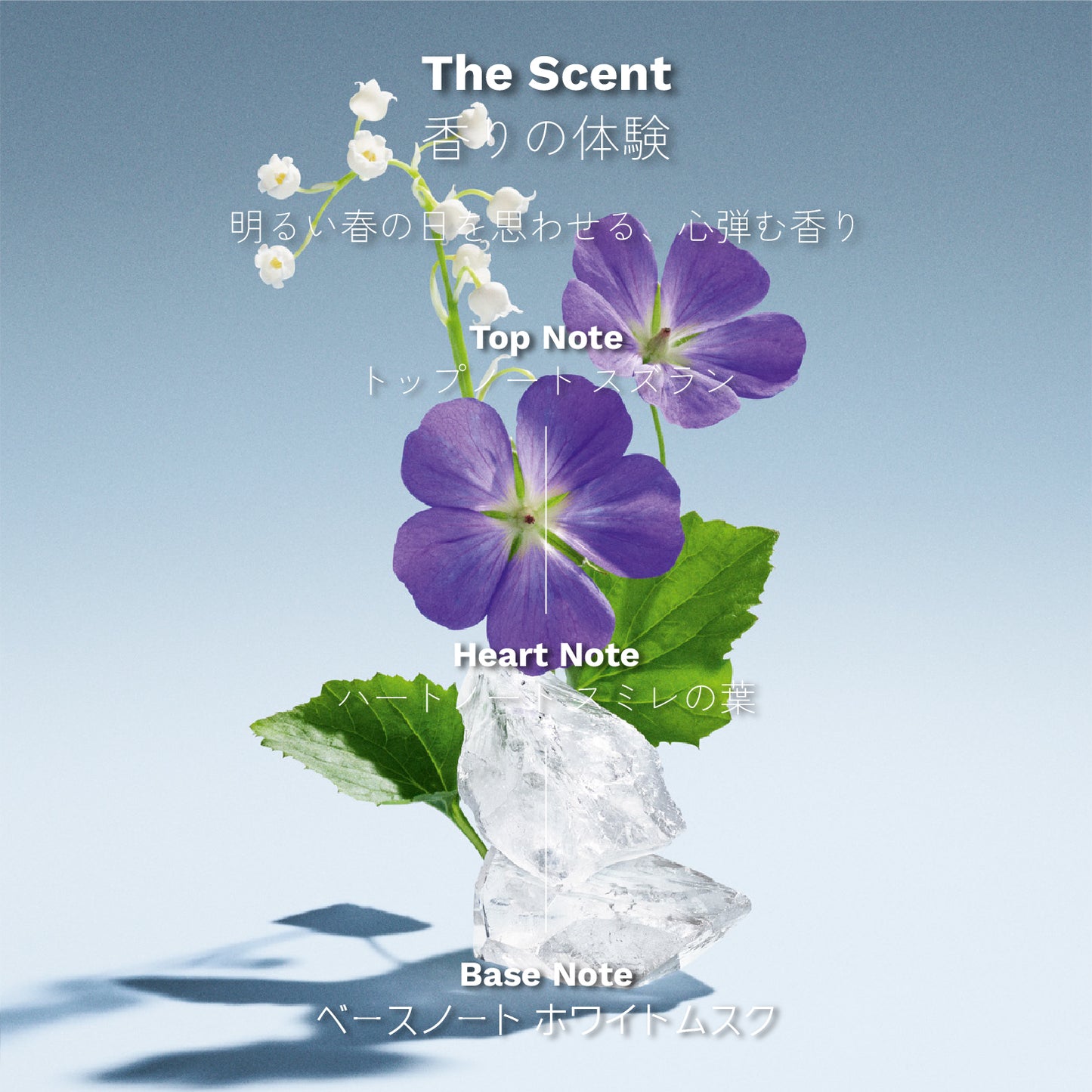 ミュウミュウ L'Eau Bleue オードパルファム 50ml